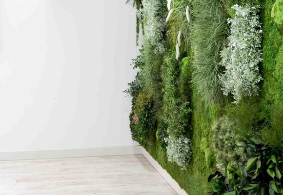 Salón de belleza de Lorena Morlote