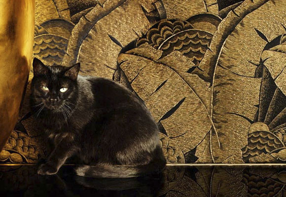 10 trucos infalibles con cosas que tienes en casa