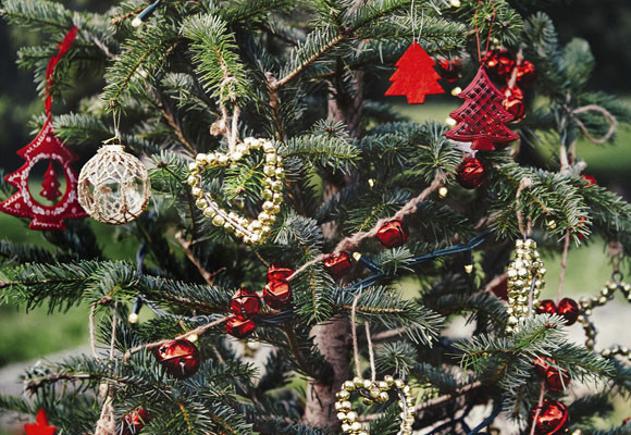 Ya llegó la Navidad!