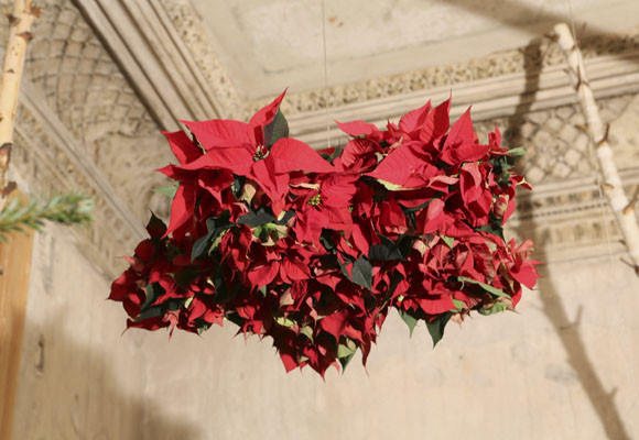 ¡Feliz día de la ponsettia! - Ideas y tendencias - DecoEstilo.com