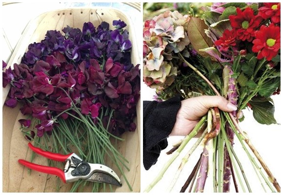 Hacer arreglos de flores para casa como un profesional