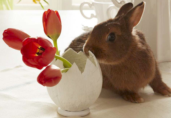 Un florero de pascua