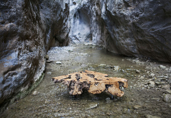 Living the Nature at Home