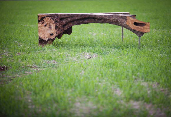 Living the Nature at Home