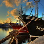 feria anchoa cantabria 2