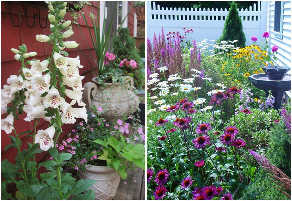 Cómo diseñar un jardín campestre