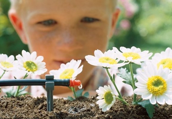 Cómo ahorrar agua, tiempo y dinero en el jardín