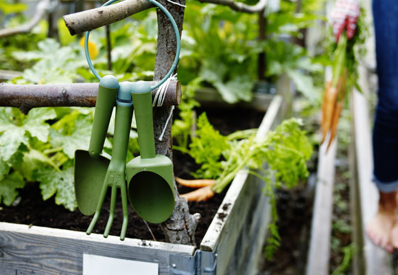Herramientas de jardinería para cuida tus plantas