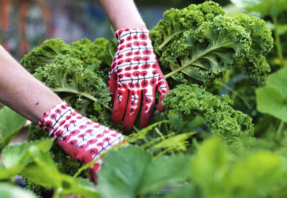 Herramientas de jardinería para cuida tus plantas