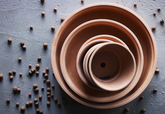 Herramientas de jardinería para cuida tus plantas