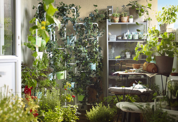 Herramientas de jardinería para cuida tus plantas