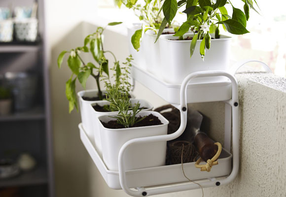 Herramientas de jardinería para cuida tus plantas