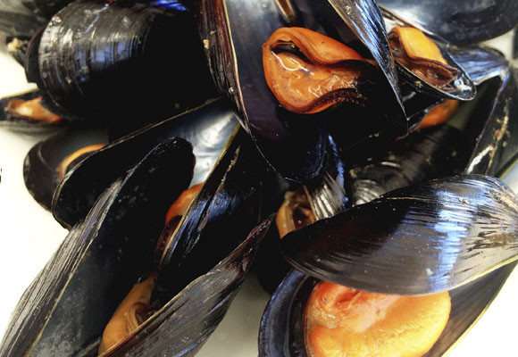 Arrocería L’Estibador