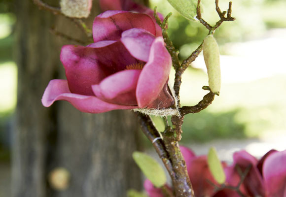 Decora el mes de junio 9 Decora el mes de junio