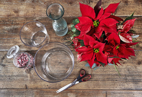 Un centro de Navidad con chuches y ponsettias