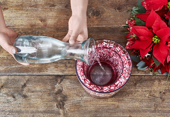 Un centro de Navidad con chuches y ponsettias