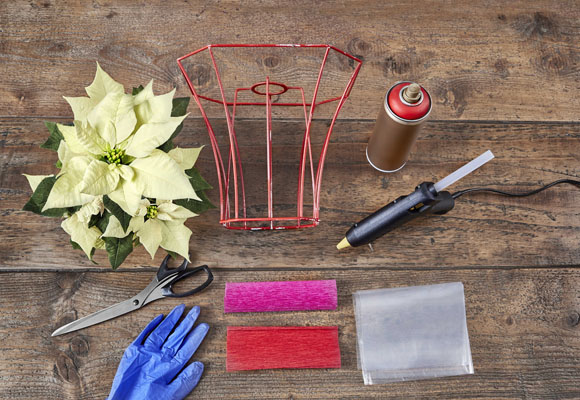 Un creativo expositor de ponsettias