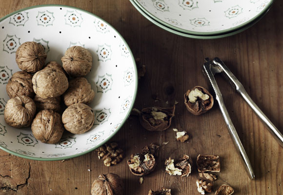 La nuez y el cerebro