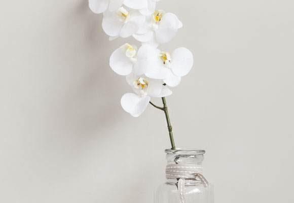 Plantas artificiales para adelantarnos a la primavera