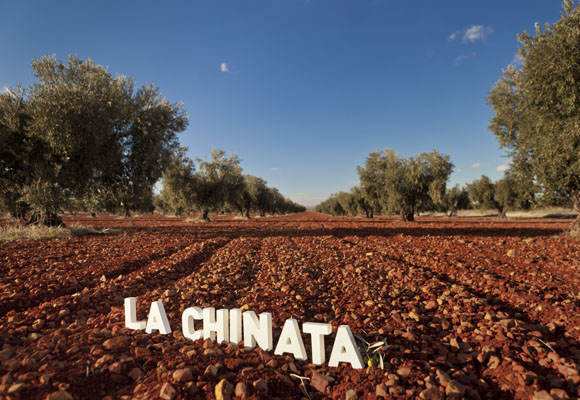 Aceite de oliva La Chinata