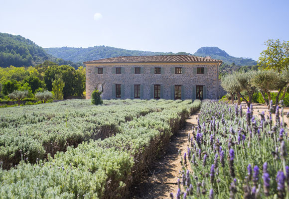 Finca Sa Vinya, en Mallorca 15 Finca Sa Vinya, en Mallorca