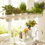 estanteria plantas 1