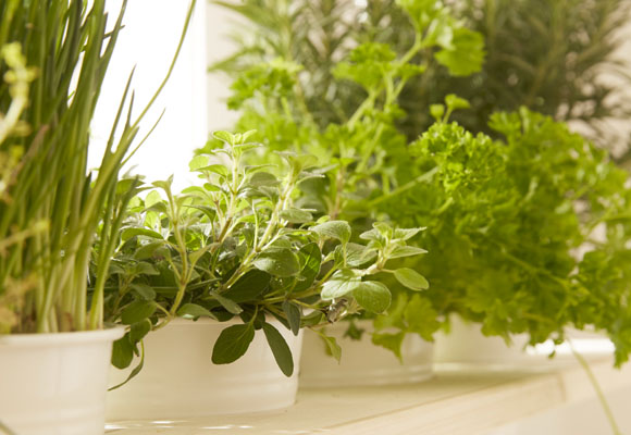 Una estantería de madera para plantas aromáticas