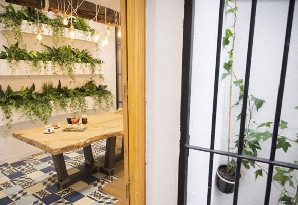 Café Levadura Madre 9 Café Levadura Madre