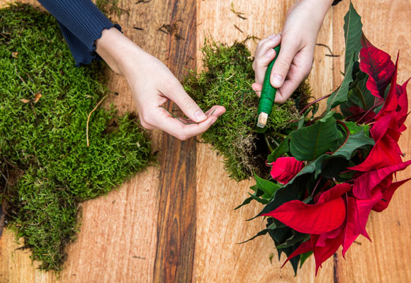 Un centro de mesa con poinsettias 8 Un centro de mesa con poinsettias