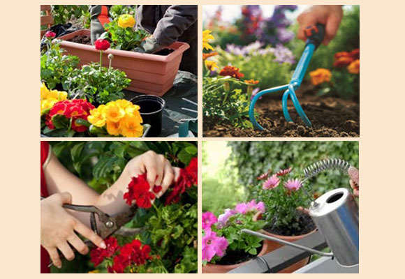 Cualquier pequeño espacio puede ser un jardín 7 Cualquier pequeño espacio puede ser un jardín