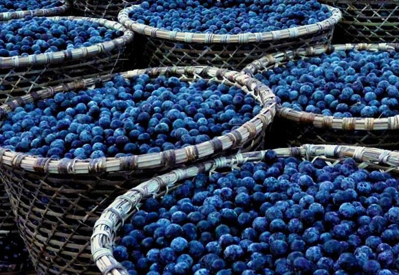 7 frutas para tener una piel radiante