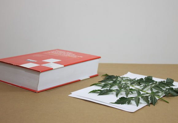 Pinta tus propios cuadros con hojas de otoño 2 Pinta tus propios cuadros con hojas de otoño