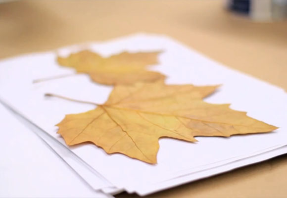 Hojas de otoño para decorar 2 Una guirnalda de hojas de otoño